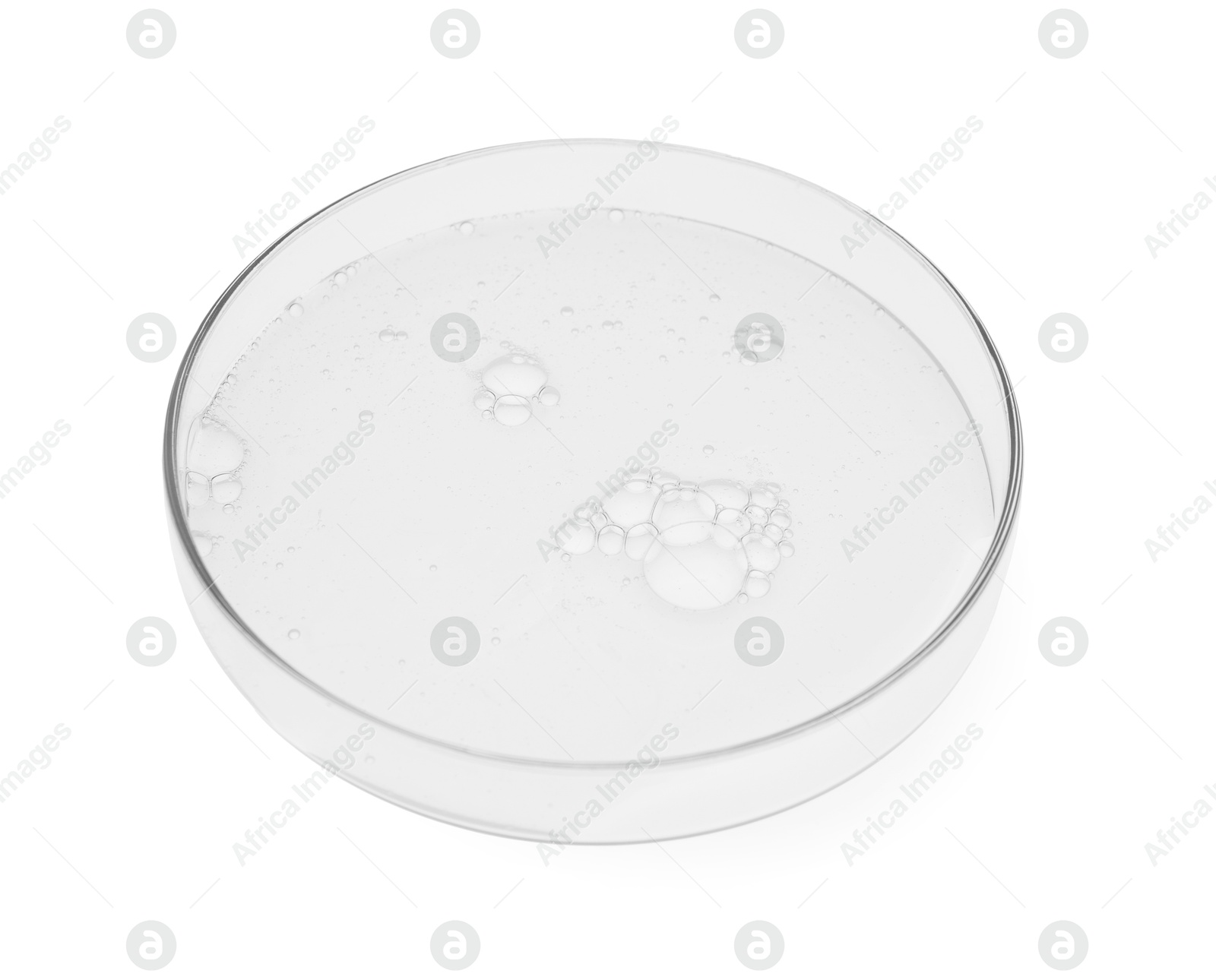 Photo of Petri dish with sample isolated on white