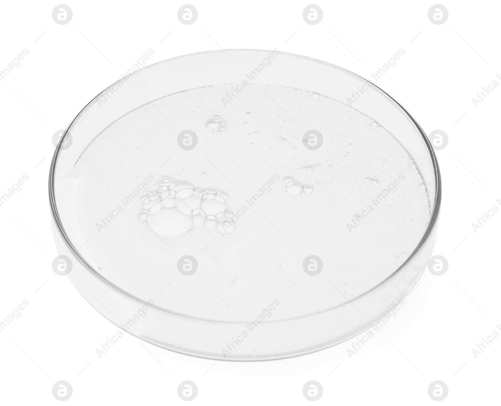 Photo of Petri dish with sample isolated on white