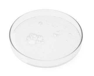 Petri dish with sample isolated on white