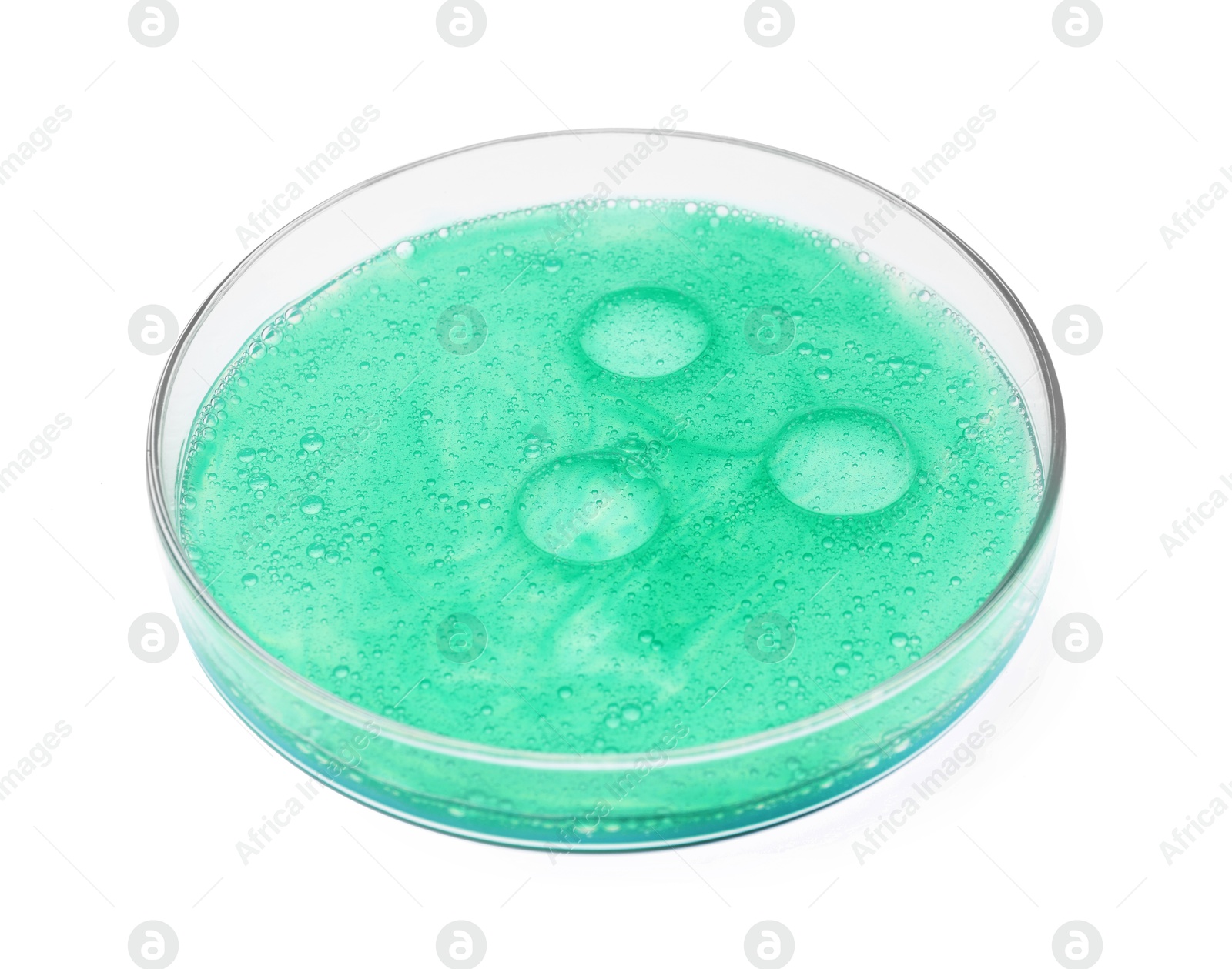 Photo of Petri dish with sample isolated on white