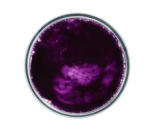 Photo of Petri dish with sample isolated on white, top view