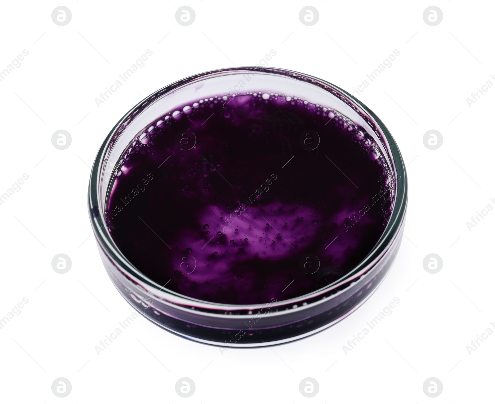 Photo of Petri dish with sample isolated on white