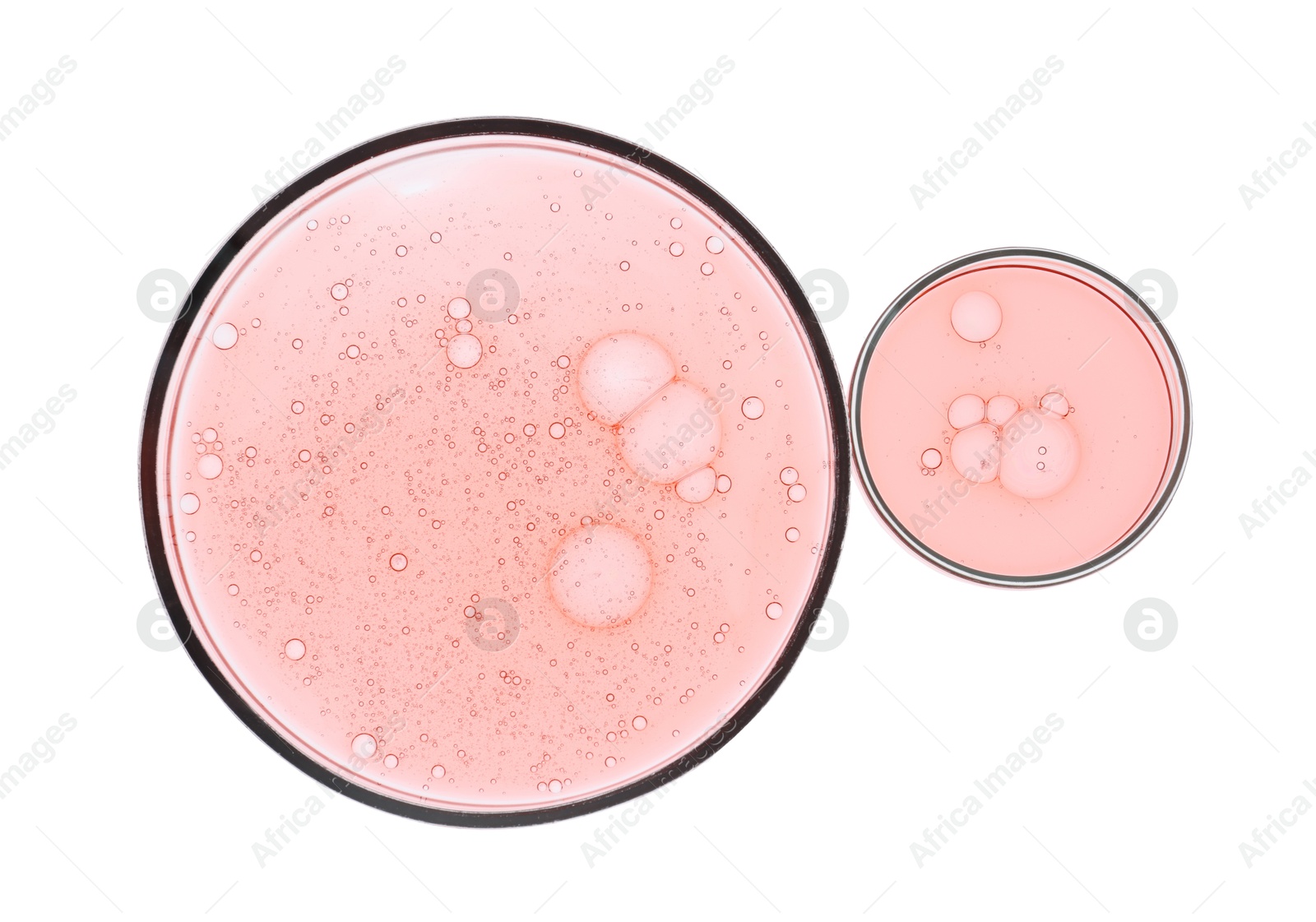 Photo of Petri dishes with samples isolated on white, top view