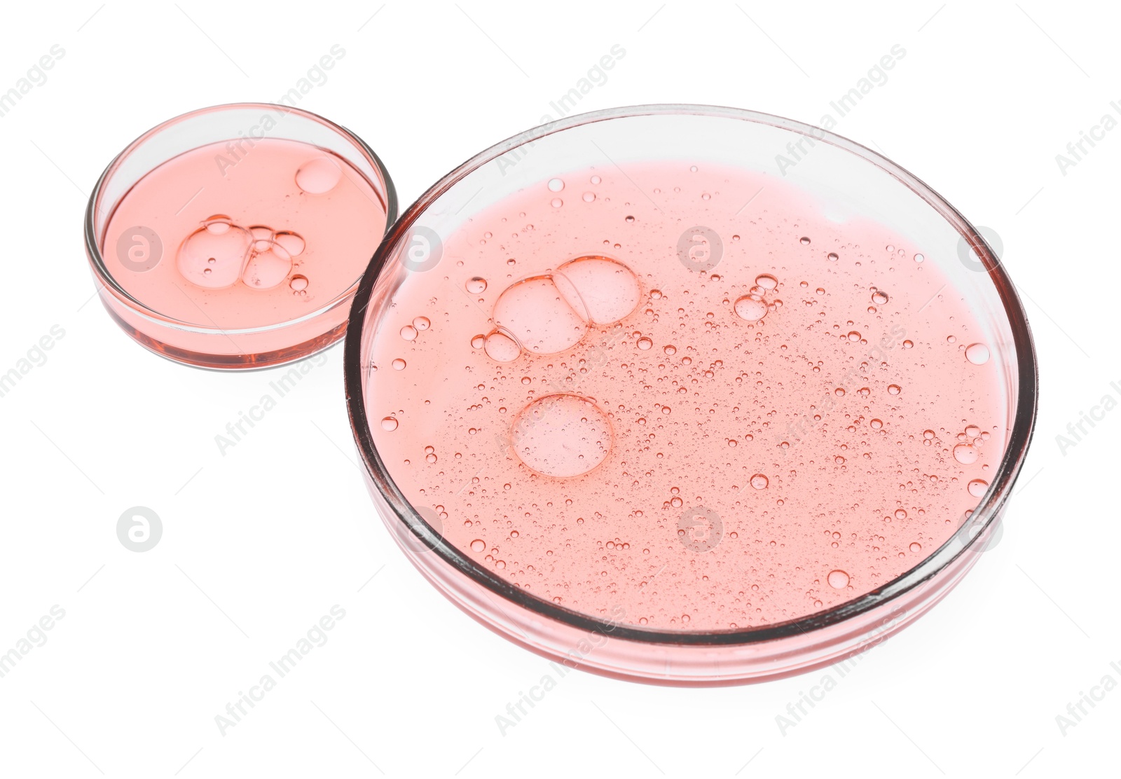 Photo of Petri dishes with samples isolated on white