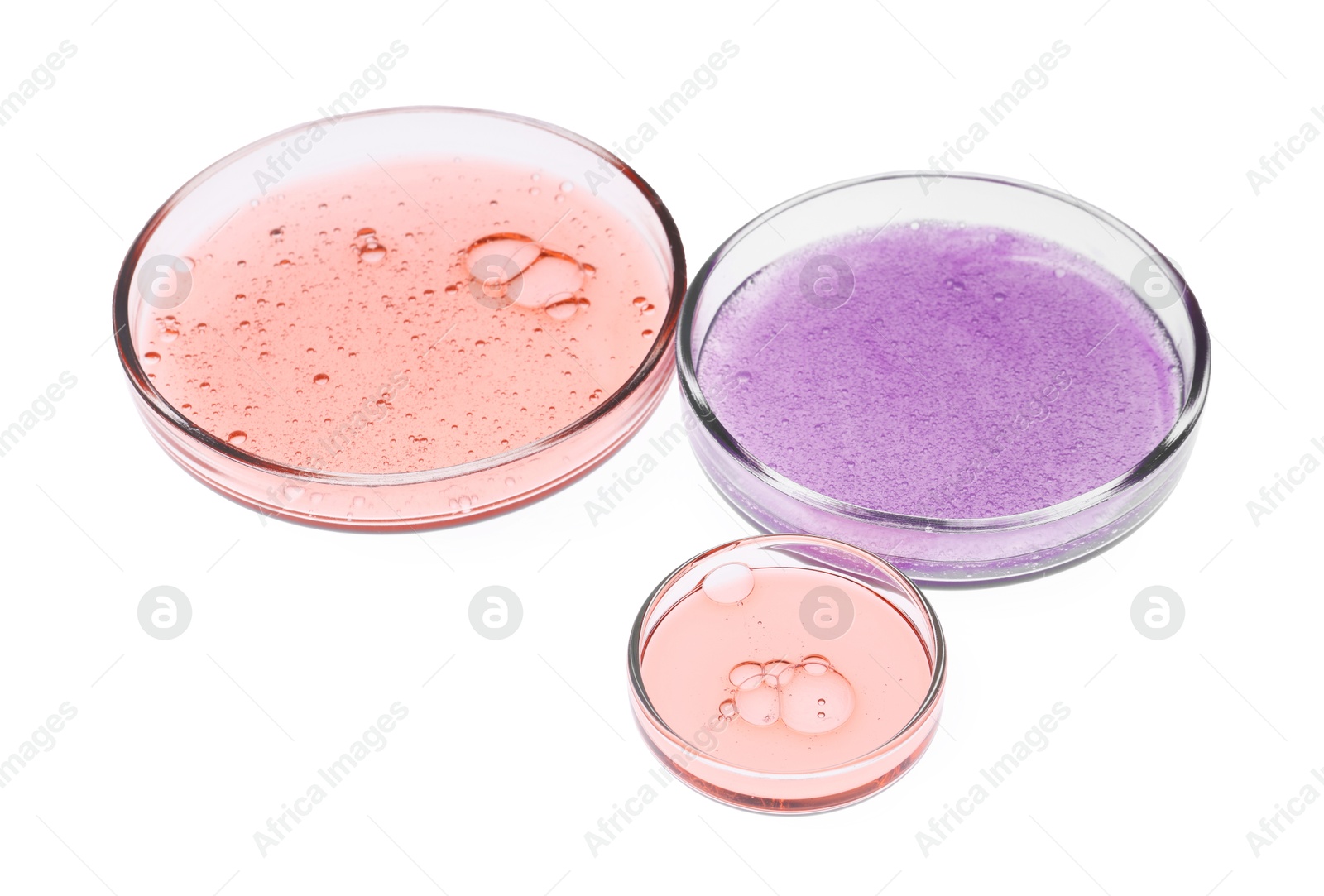 Photo of Petri dishes with samples isolated on white