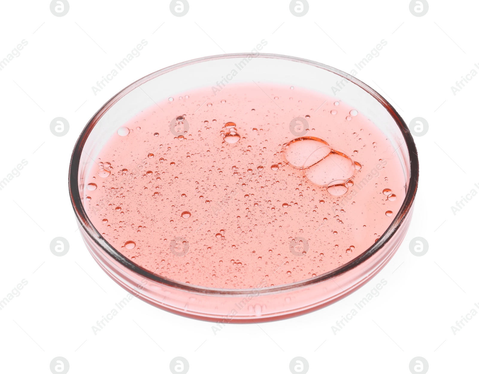 Photo of Petri dish with sample isolated on white