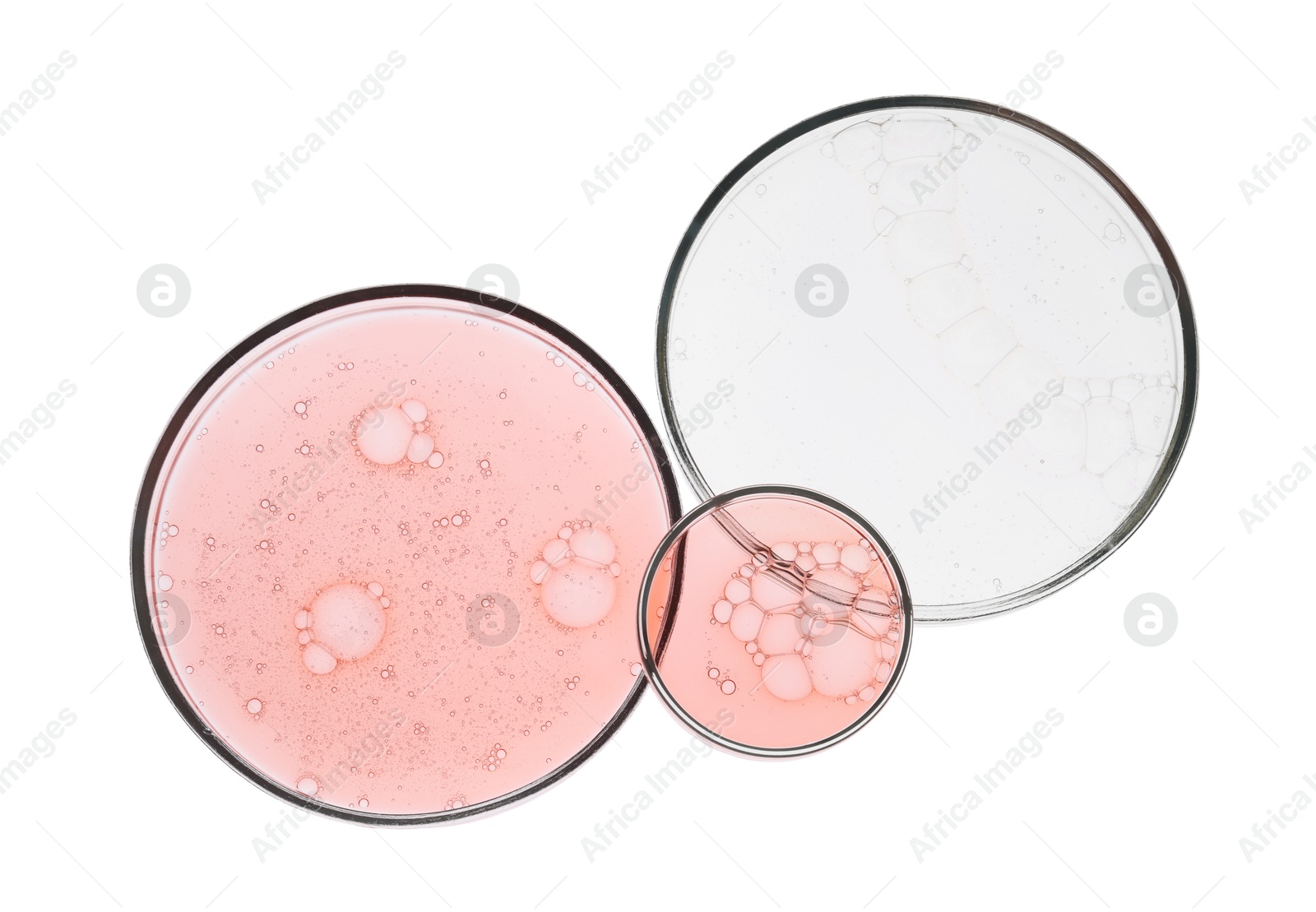 Photo of Petri dishes with samples isolated on white, top view