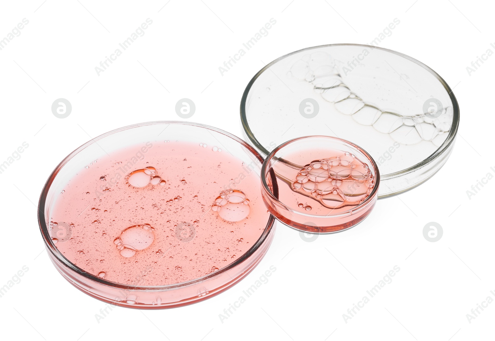 Photo of Petri dishes with samples isolated on white