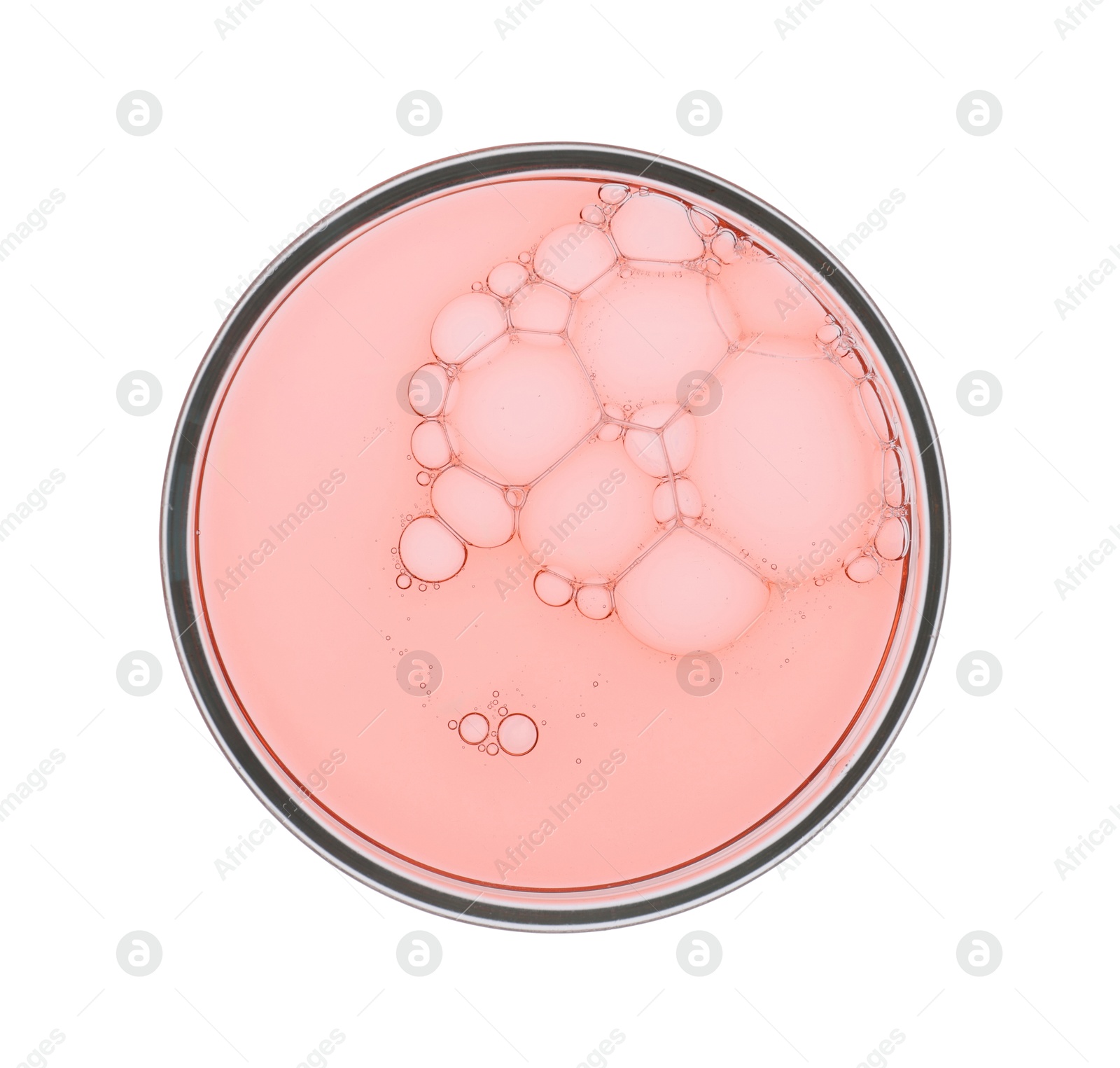 Photo of Petri dish with sample isolated on white, top view