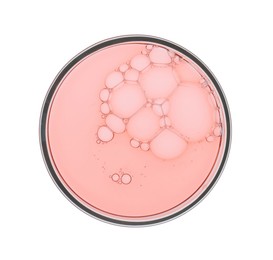 Photo of Petri dish with sample isolated on white, top view