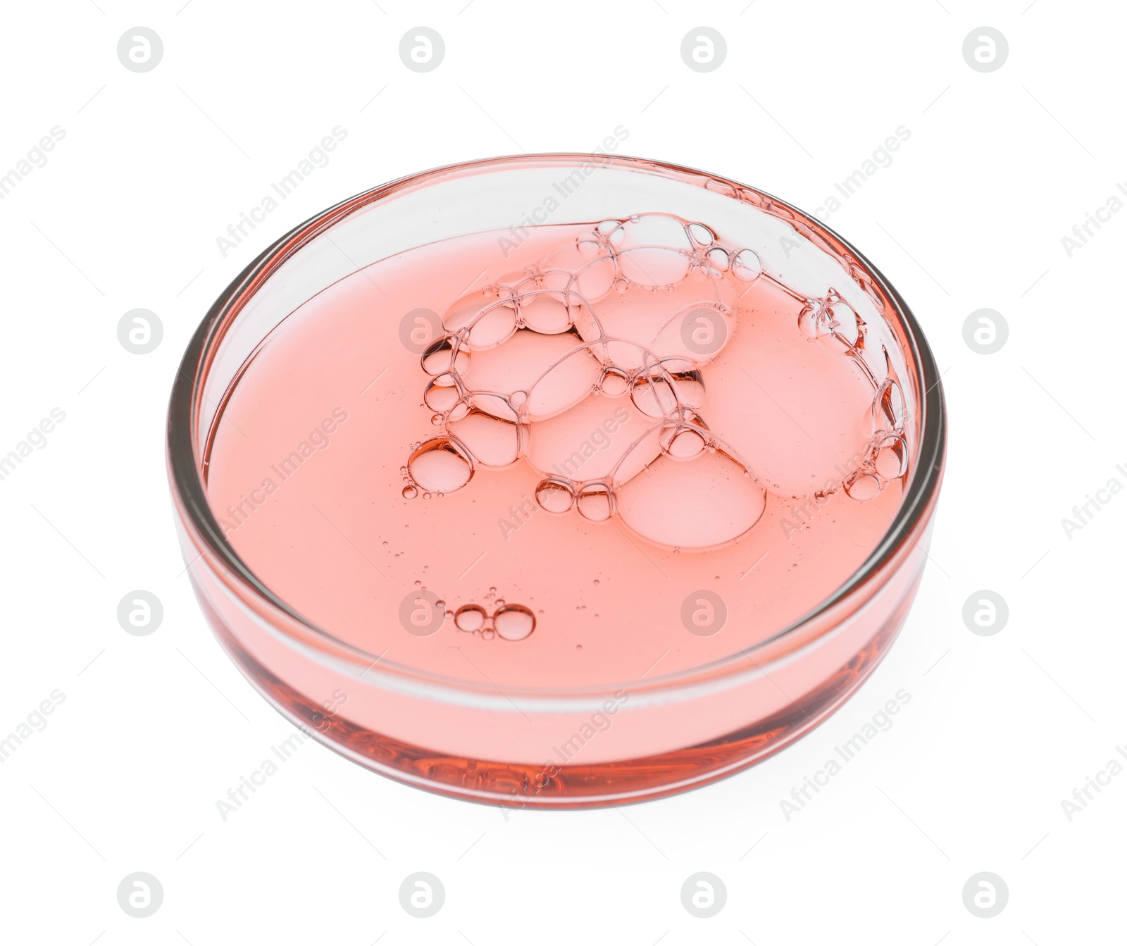 Photo of Petri dish with sample isolated on white