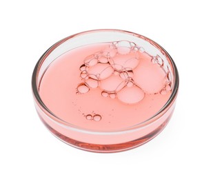 Petri dish with sample isolated on white