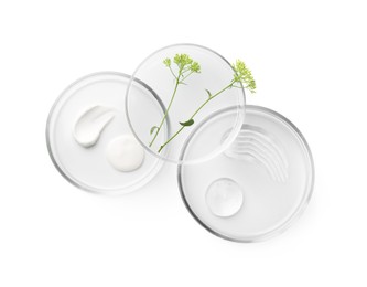 Photo of Petri dishes with different cosmetic products and leaves isolated on white, flat lay