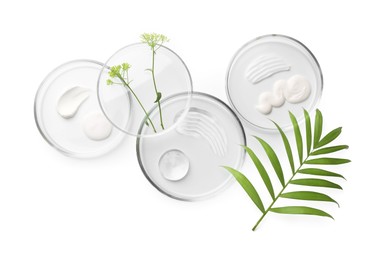 Photo of Petri dishes with different cosmetic products and leaves isolated on white, flat lay