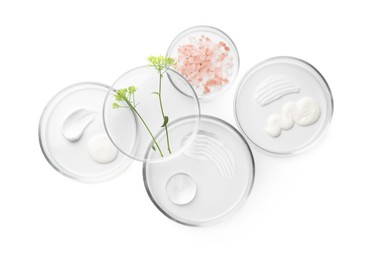 Photo of Petri dishes with different cosmetic products and leaves isolated on white, flat lay