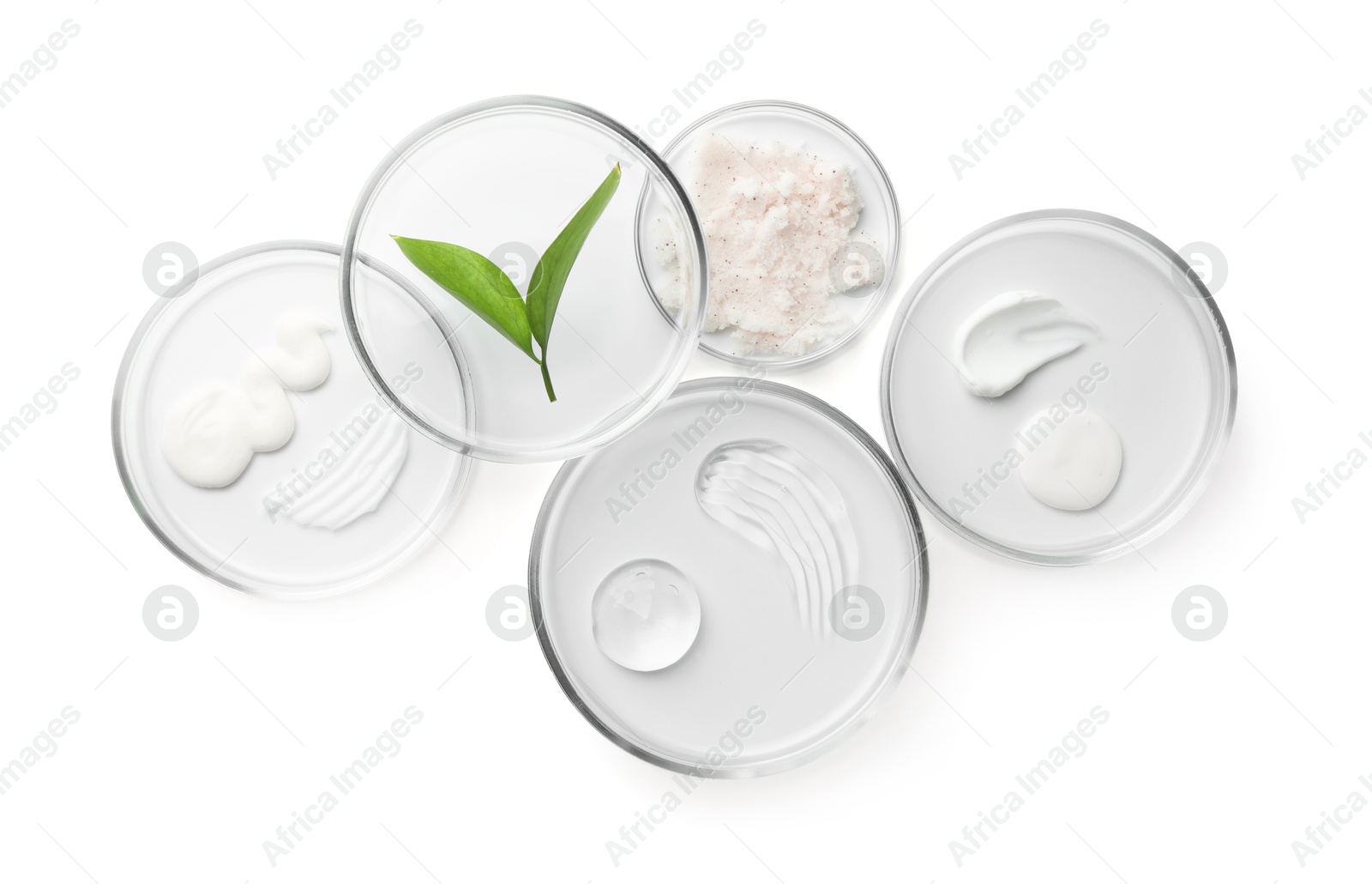 Photo of Petri dishes with different cosmetic products and leaves isolated on white, flat lay