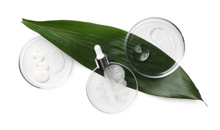 Petri dishes with different cosmetic products and leaf isolated on white, top view