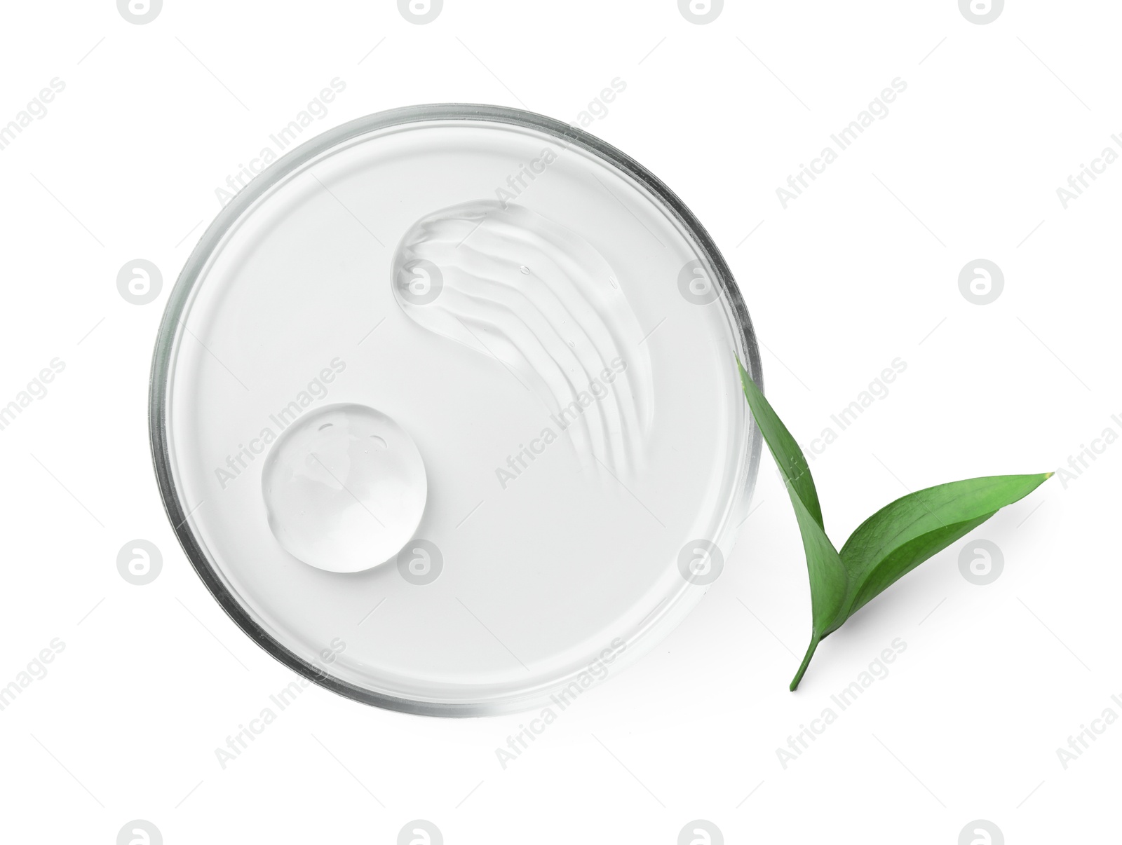 Photo of Petri dish with cosmetic product and leaves isolated on white, top view