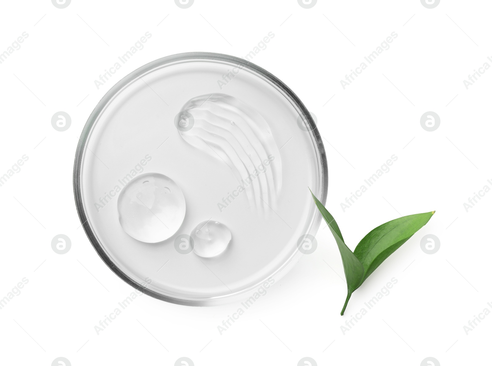 Photo of Petri dish with cosmetic product and leaves isolated on white, top view