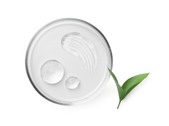 Photo of Petri dish with cosmetic product and leaves isolated on white, top view