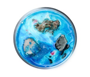 Photo of Petri dish with bacteria isolated on white, top view