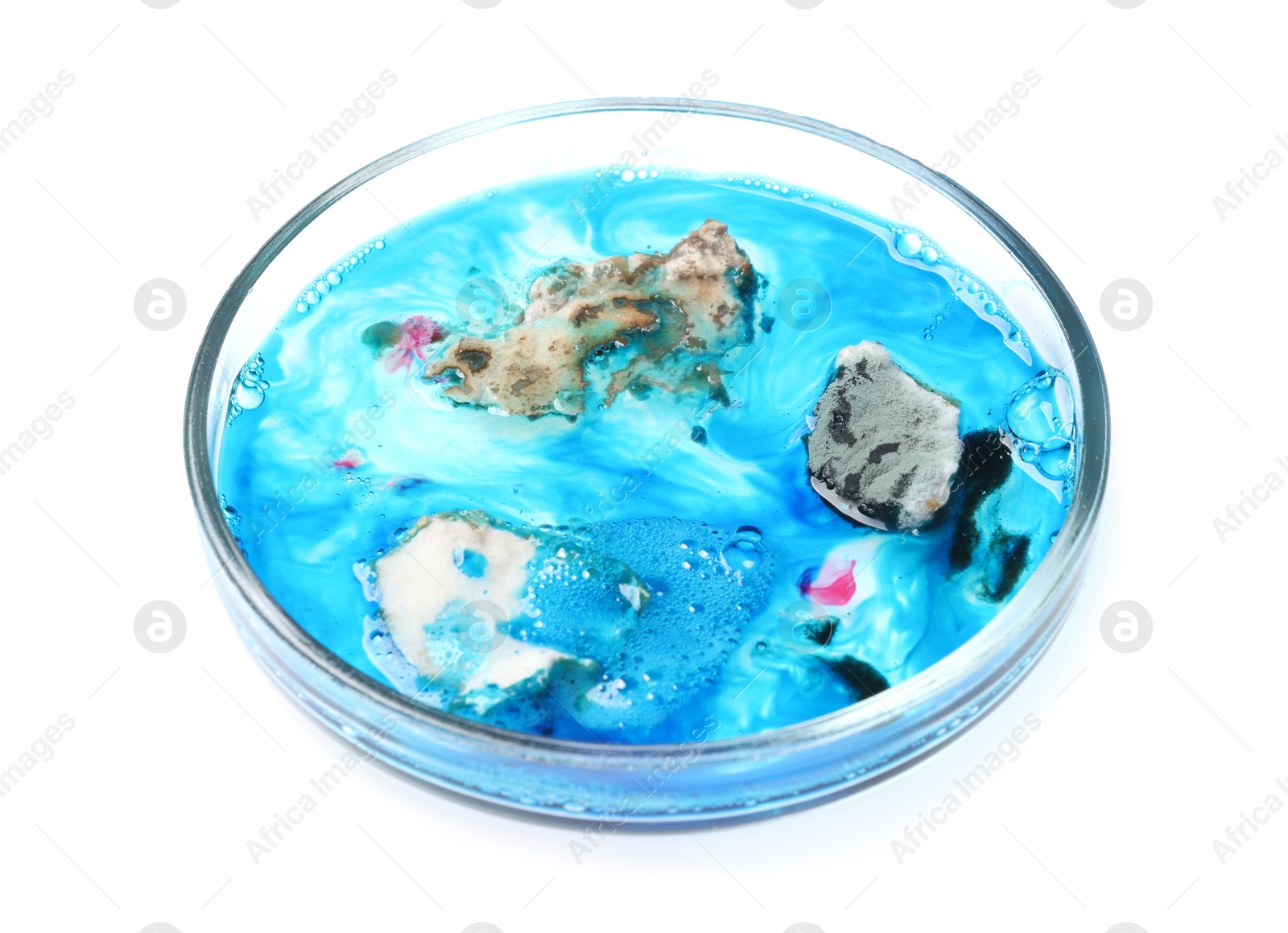 Photo of Petri dish with bacteria isolated on white