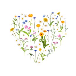 Image of Heart made of meadow flowers on white gradient background