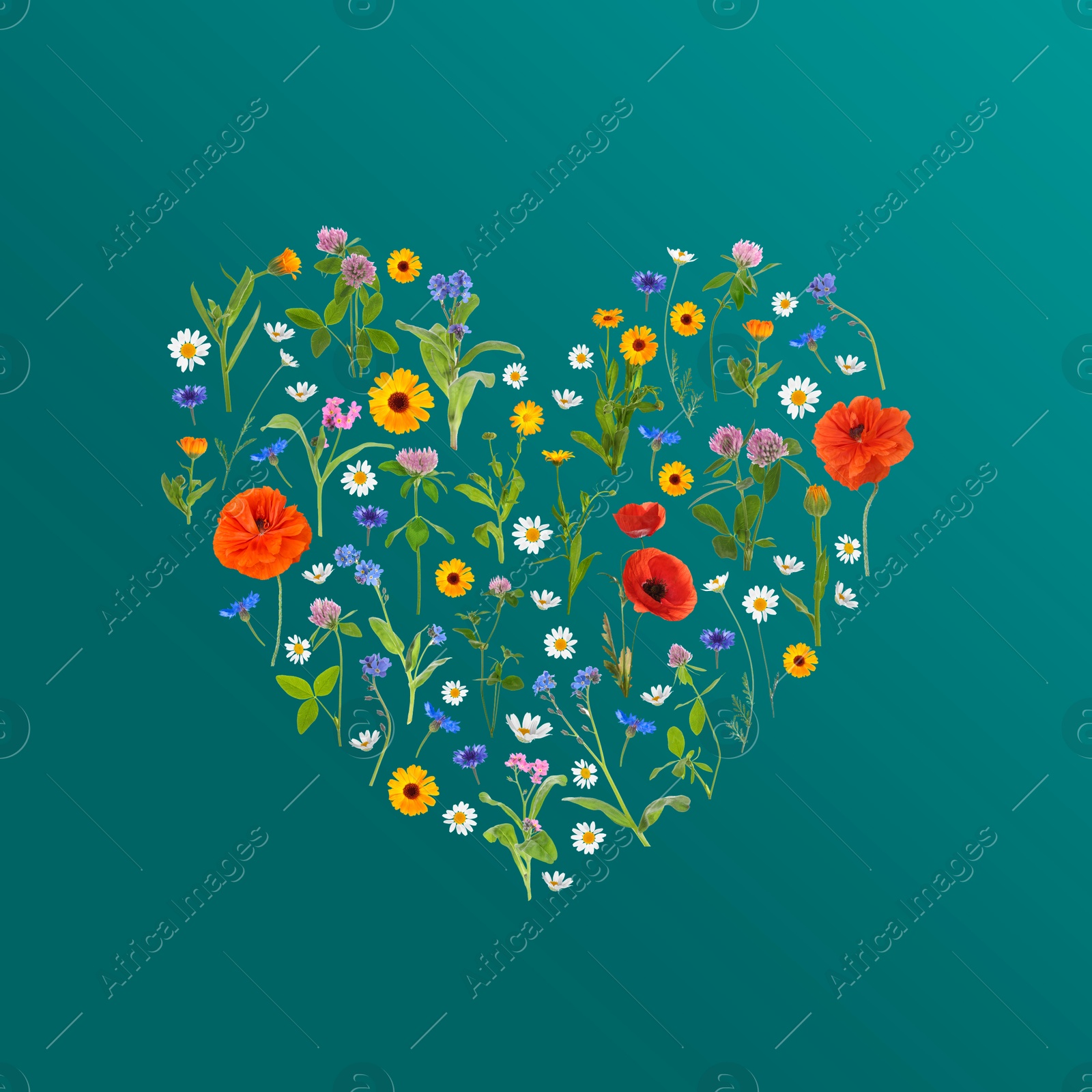 Image of Heart made of meadow flowers on teal gradient background