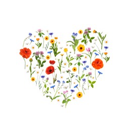 Heart made of meadow flowers on white gradient background