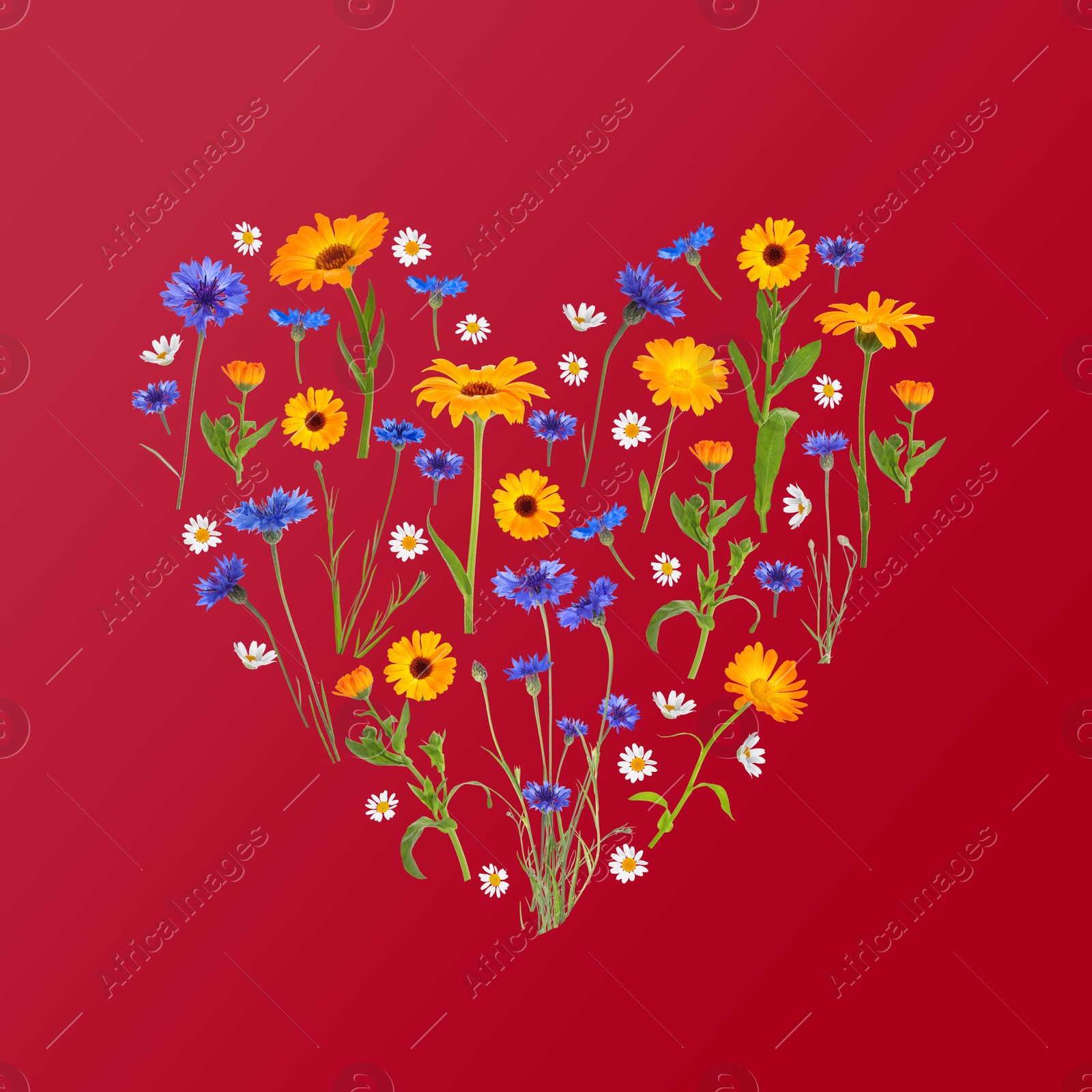 Image of Heart made of meadow flowers on red gradient background