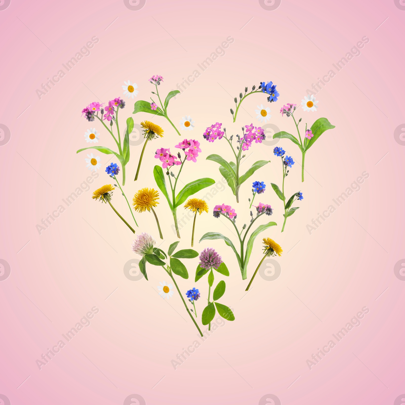 Image of Heart made of meadow flowers on pink gradient background