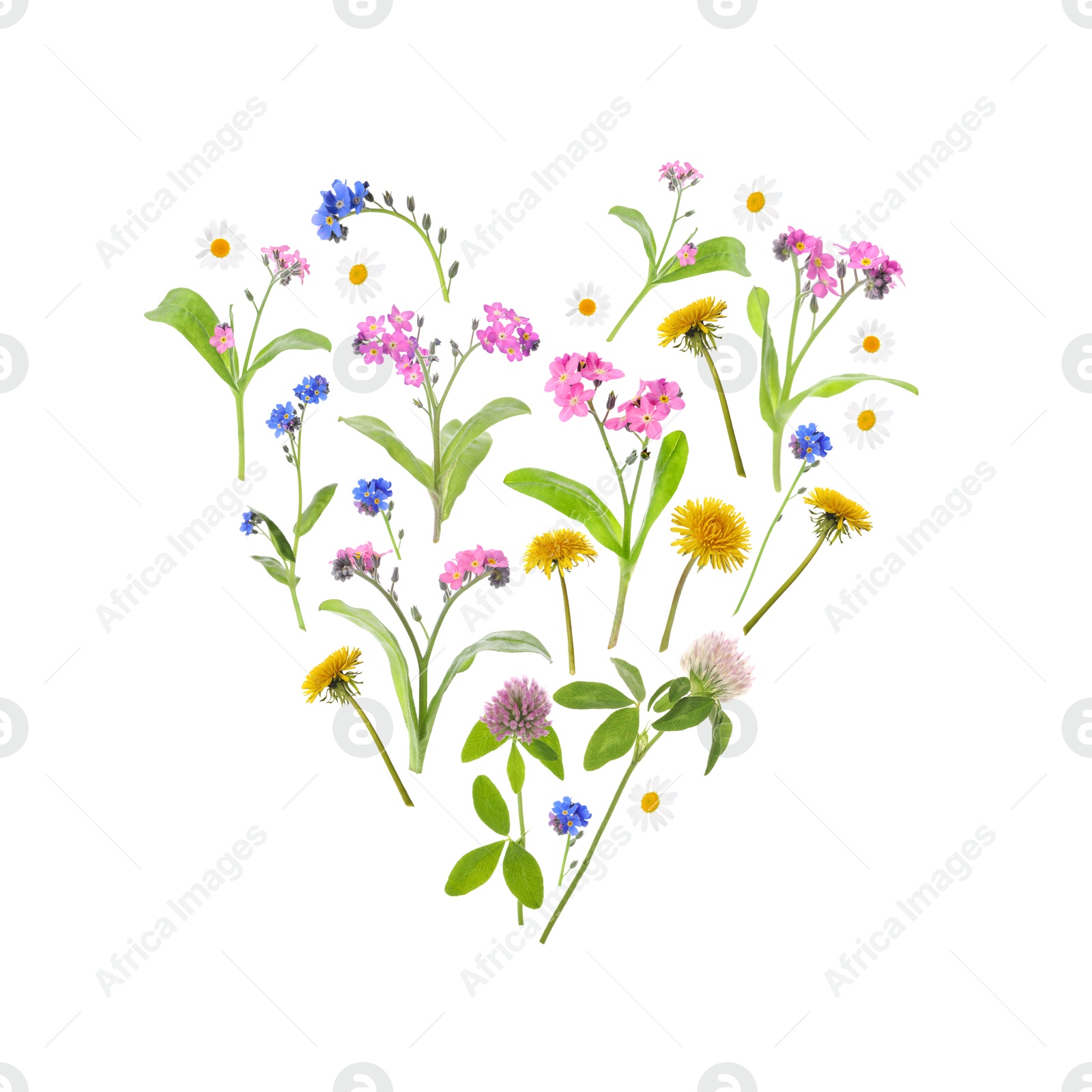 Image of Heart made of meadow flowers on white gradient background