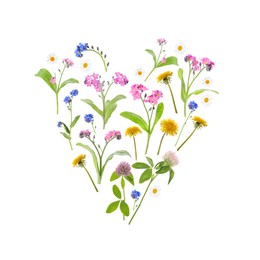 Image of Heart made of meadow flowers on white gradient background