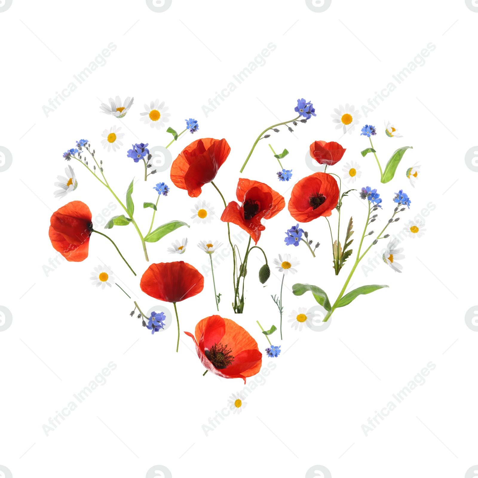 Image of Heart made of meadow flowers on white gradient background