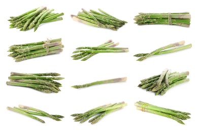 Image of Set of fresh asparagus spears on white background