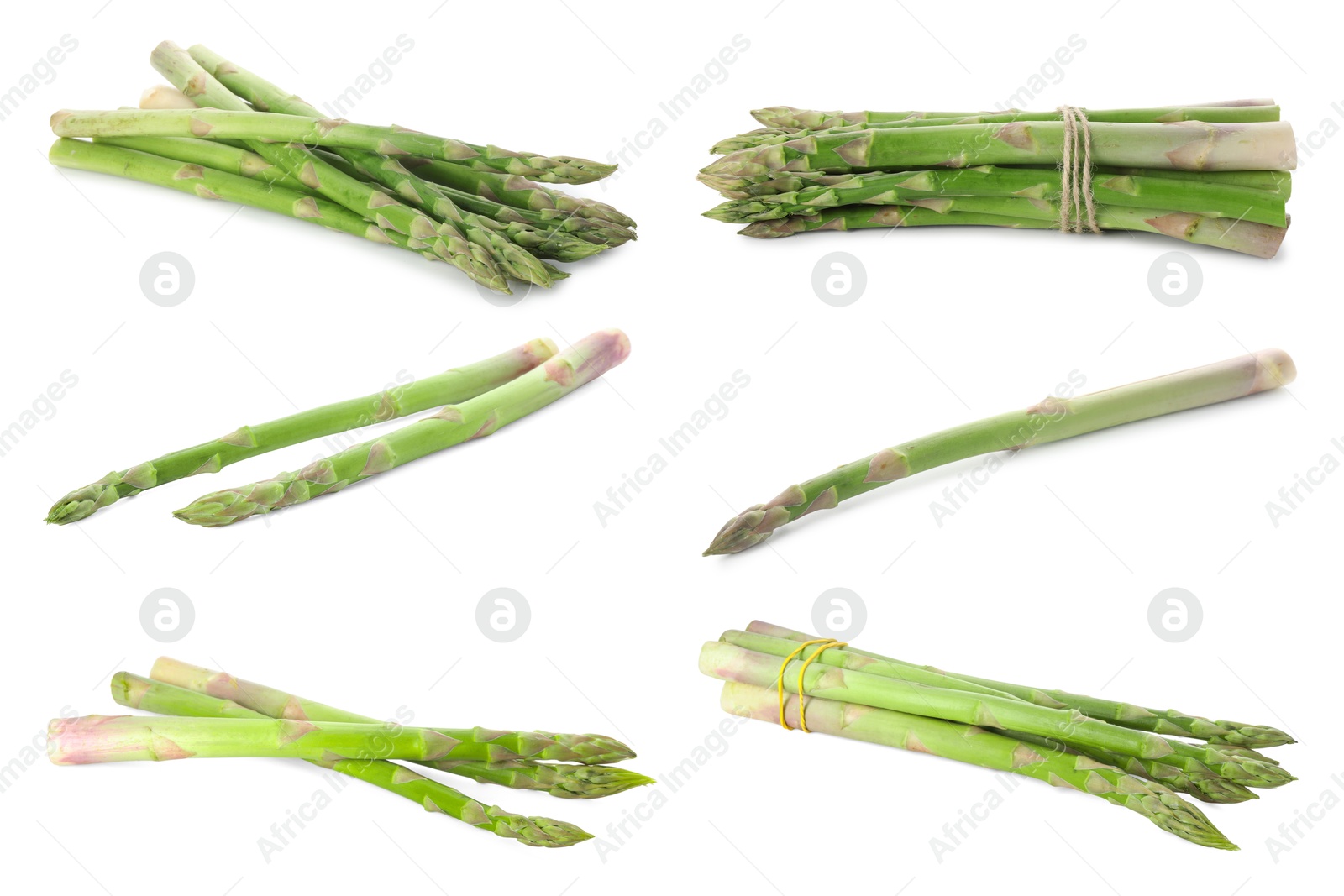 Image of Set of fresh asparagus spears on white background