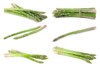 Image of Set of fresh asparagus spears on white background