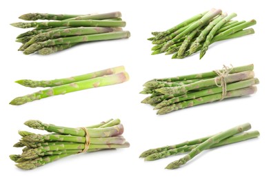 Image of Set of fresh asparagus spears on white background