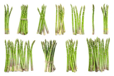 Image of Set of fresh asparagus spears on white background, top view