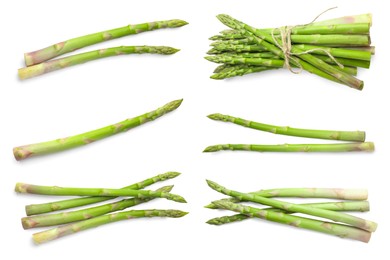 Image of Set of fresh asparagus spears on white background, top view