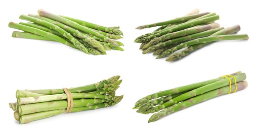 Image of Set of fresh asparagus spears on white background