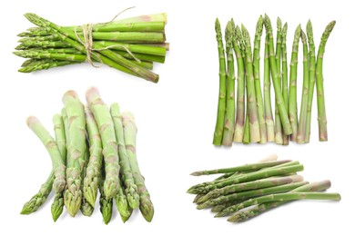 Image of Set of fresh asparagus spears on white background