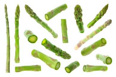 Image of Set of fresh asparagus spears on white background