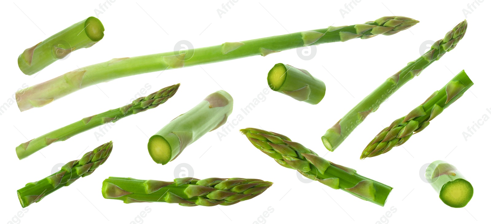 Image of Set of fresh asparagus spears on white background