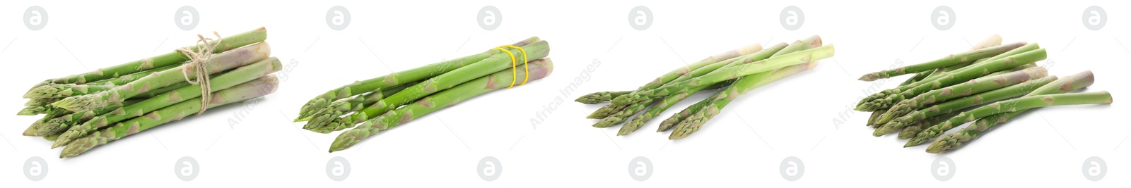 Image of Set of fresh asparagus spears on white background