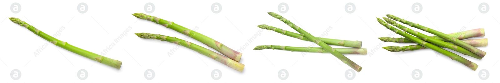 Image of Set of fresh asparagus spears on white background, top view