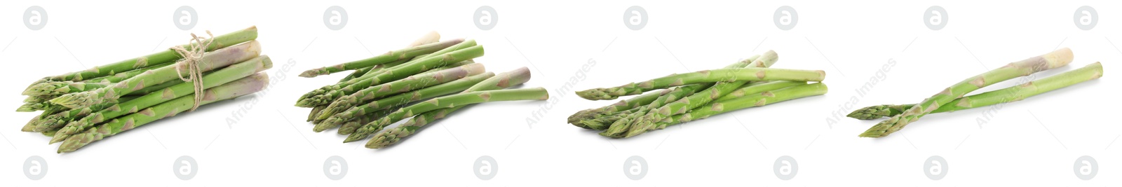 Image of Set of fresh asparagus spears on white background