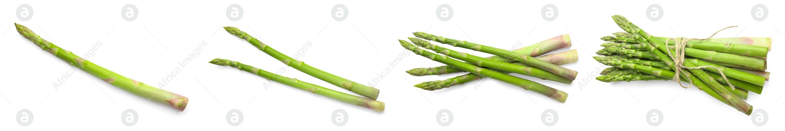 Image of Set of fresh asparagus spears on white background, top view