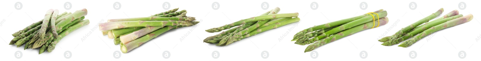 Image of Set of fresh asparagus spears on white background