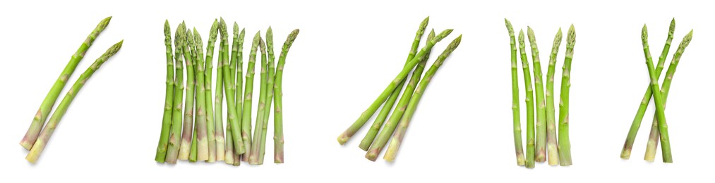 Image of Set of fresh asparagus spears on white background, top view